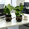 2pcs/Set Artificial Mini Black Potted Plants, Maintenance-Free, Suitable For Indoor Home, Office, Farmhouse, Bathroom, Dining Table Decor, Small Fake Lawn Green Potted Plants, Home Decor [With Pot], Birthday/Graduation Gift